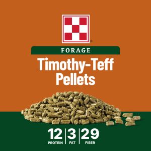 Image showing Timothy-Teff pellets