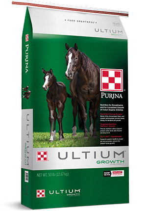 Purina horse feed near me new arrivals