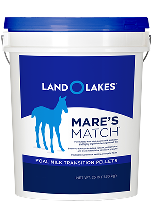 Foal Transition Pellets 25 lb pail