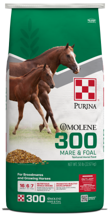 Image of Omolene #300® Mare & Foal horse feed bag front facing