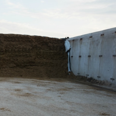 Quick tips and tricks for proper bunker silo packing at harvest
