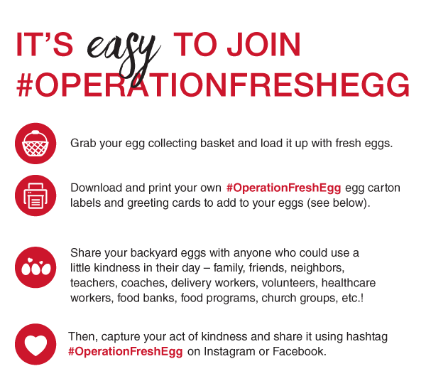 Operation Fresh Egg Infographic