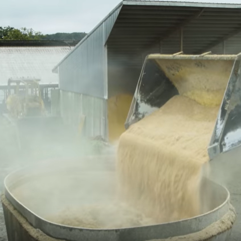 Loader dumping ground corn into a TMR mixer outside on a dairy farm.