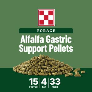 Image of the Alfafa Gastric Pellets