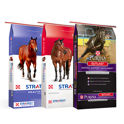 Purina Horse Feed Bags