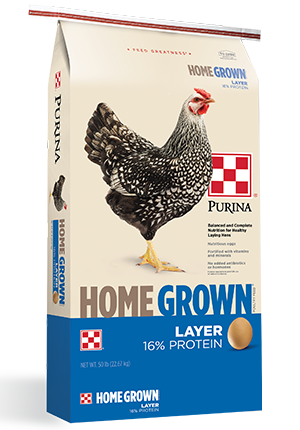 Comida Para Gallinas Ponedoras Country Feeds Layer Feed 16% Pellet
