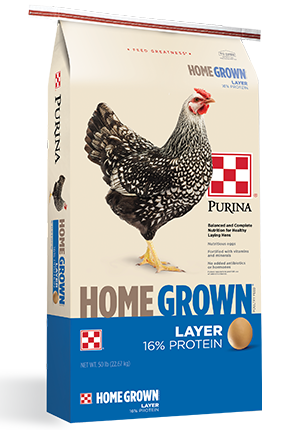 HomeGrown Layer Pellets or Crumbles for laying hens