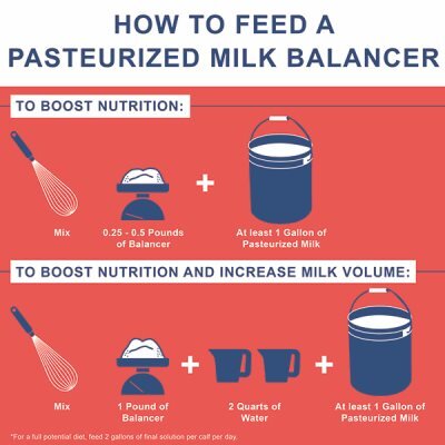 Feed a pasteurized milk balancer to help boost calf nutrition and increase milk volume.