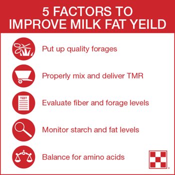 The five factors to improve milk fat yield include putting up quality forages, properly mixing and delivering TMR, evaluating fiber and forage levels, balancing for lysine and monitoring starch and fat levels.