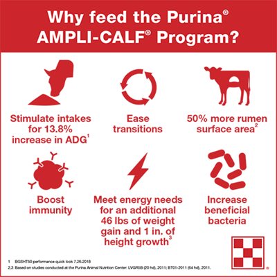 Complete calf nutrition program infographic